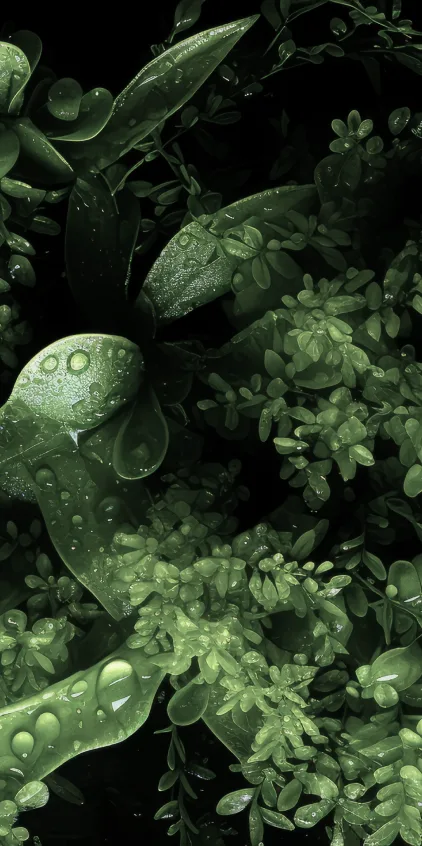 Eco friendly biodegradable products by Ecosthree