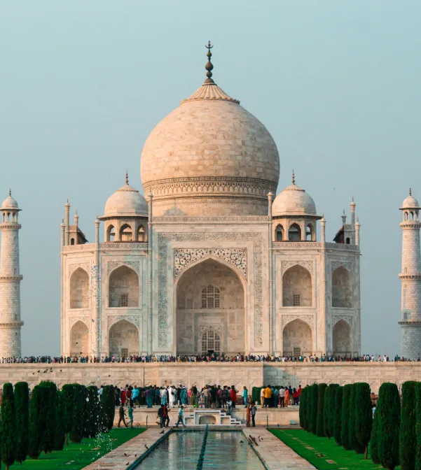 Eco friendly biodegradable products by Ecosthree